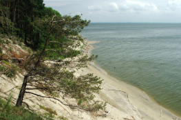 Skarpa nad Zalewem Wiślanym