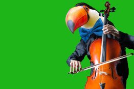 Festiwal FUN&CLASSIC