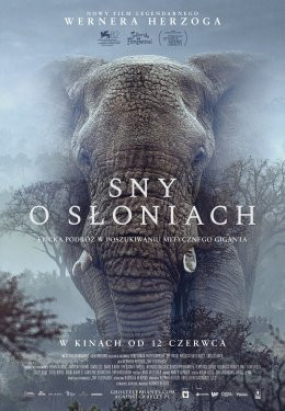 Warszawa Wydarzenie Film w kinie Sny o słoniach: KADR NON-FICTION