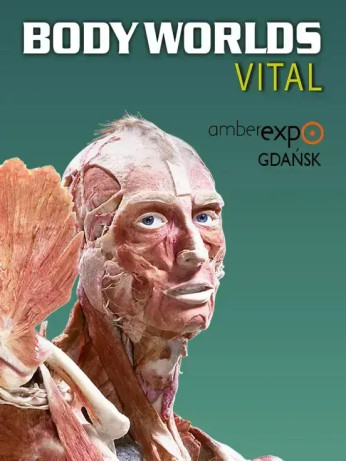 Warszawa Wydarzenie Wystawa BODY WORLDS VITAL