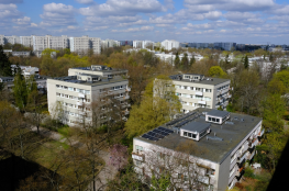 Warszawa Wydarzenie Inne wydarzenie POSZUKIWANIE WIOSNY NA SADACH ŻOLIBORSKICH