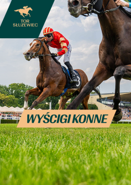 Warszawa Wydarzenie Sport Gala Derby - Wyścigi konne na Torze Służewiec 2026